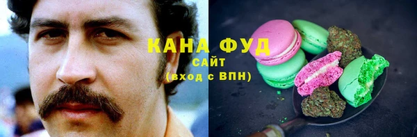прущий лед Алзамай