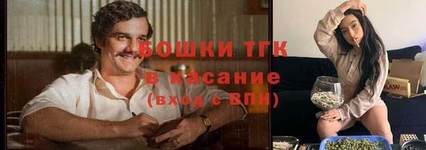тгк Алексин