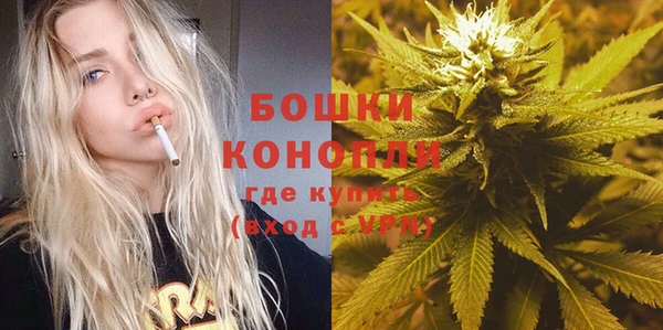 PSILOCYBIN Алексеевка