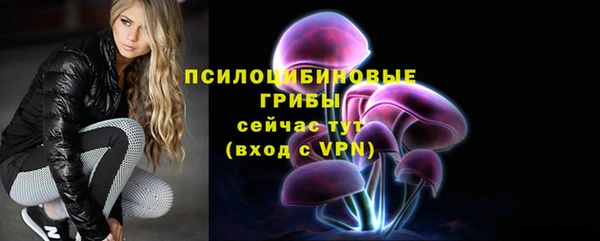 тгк Алексин