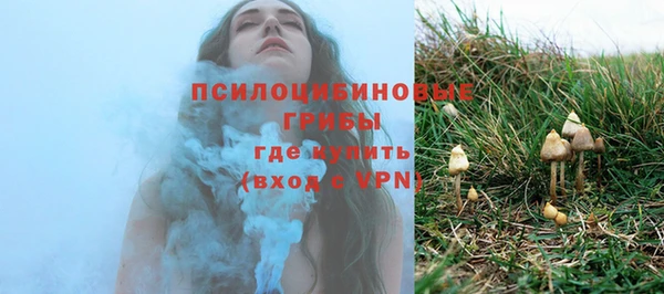 прущий лед Алзамай