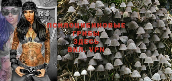 PSILOCYBIN Алексеевка