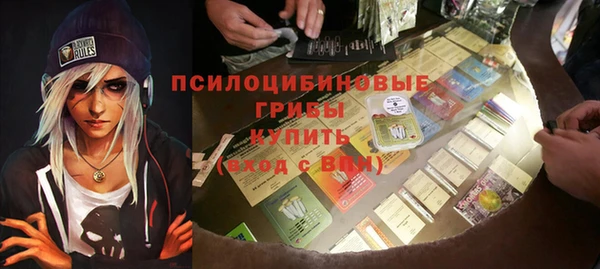 прущий лед Алзамай