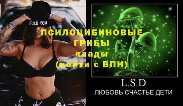 PSILOCYBIN Алексеевка