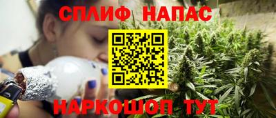 гидропоника Кингисепп