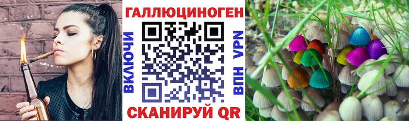 как найти наркотики  Ленинск-Кузнецкий  Псилоцибиновые грибы Psilocybe 
